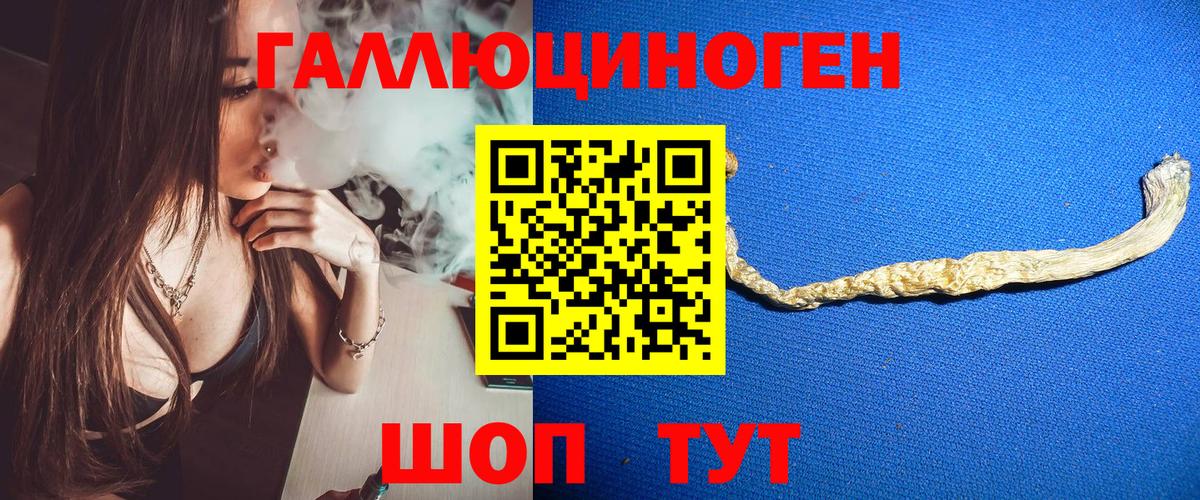 Псилоцибиновые грибы мицелий Клинцы