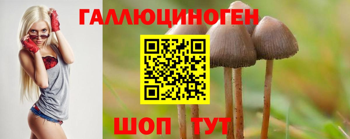 Клинцы  Псилоцибиновые грибы Cubensis  цены   Вход с VPN  Псилоцибиновые грибы ЛСД 